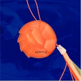 AMMONITEタイラバ