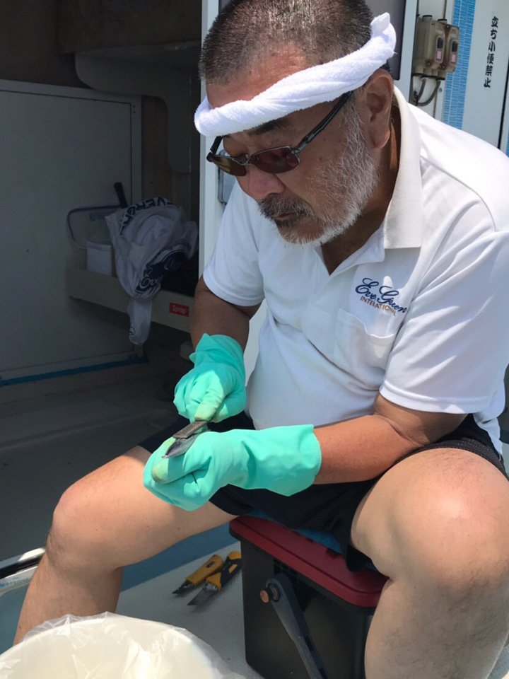 Sレジェンド研磨作業