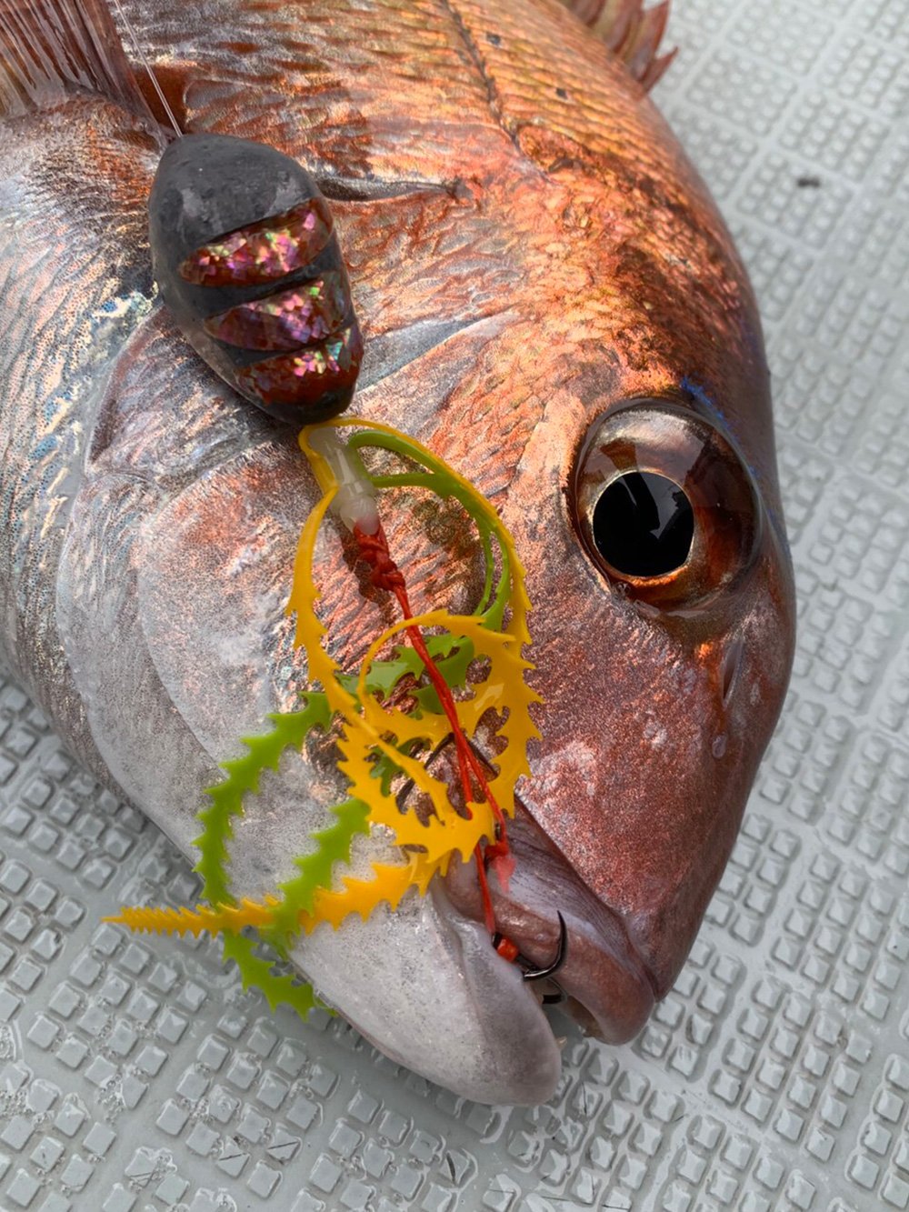 ドテラバ専用ライダーアシストフック