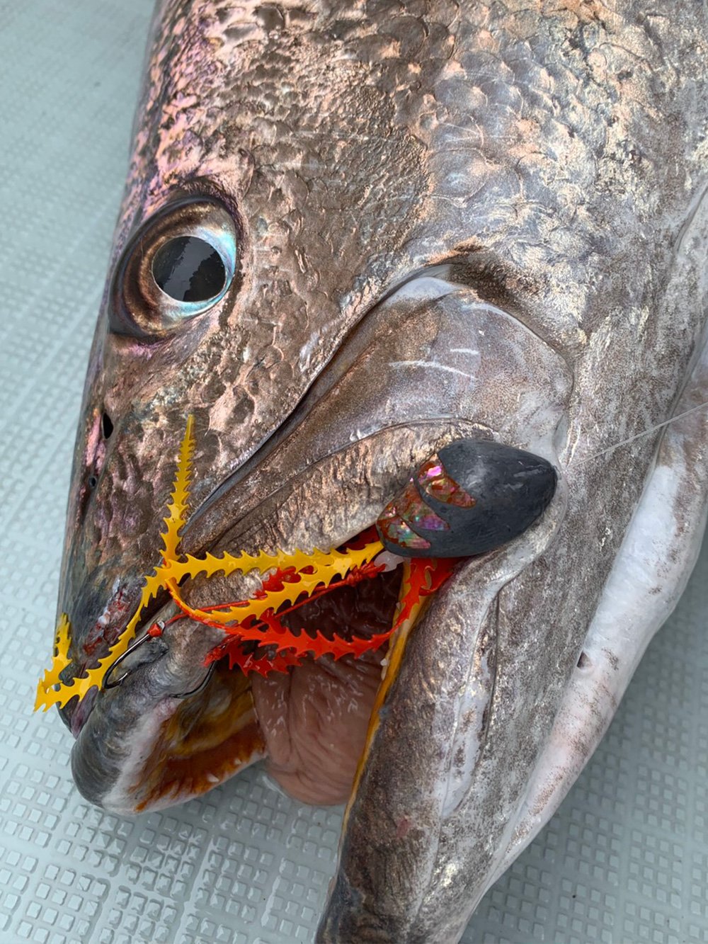 微波動のライダーストレート