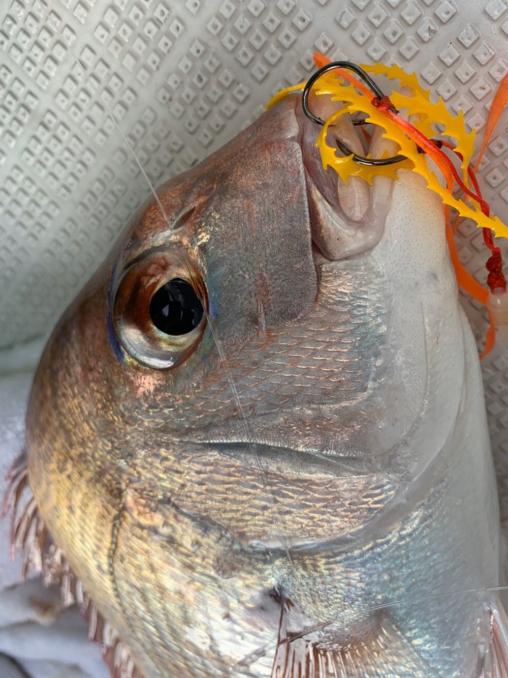 ライダー用パーツ,ライダー交換ユニット