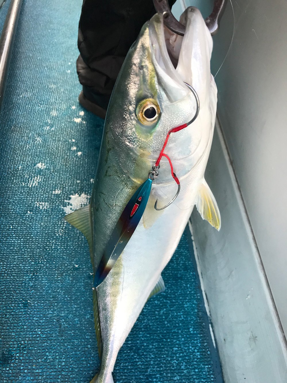 新色チタンカラー_03