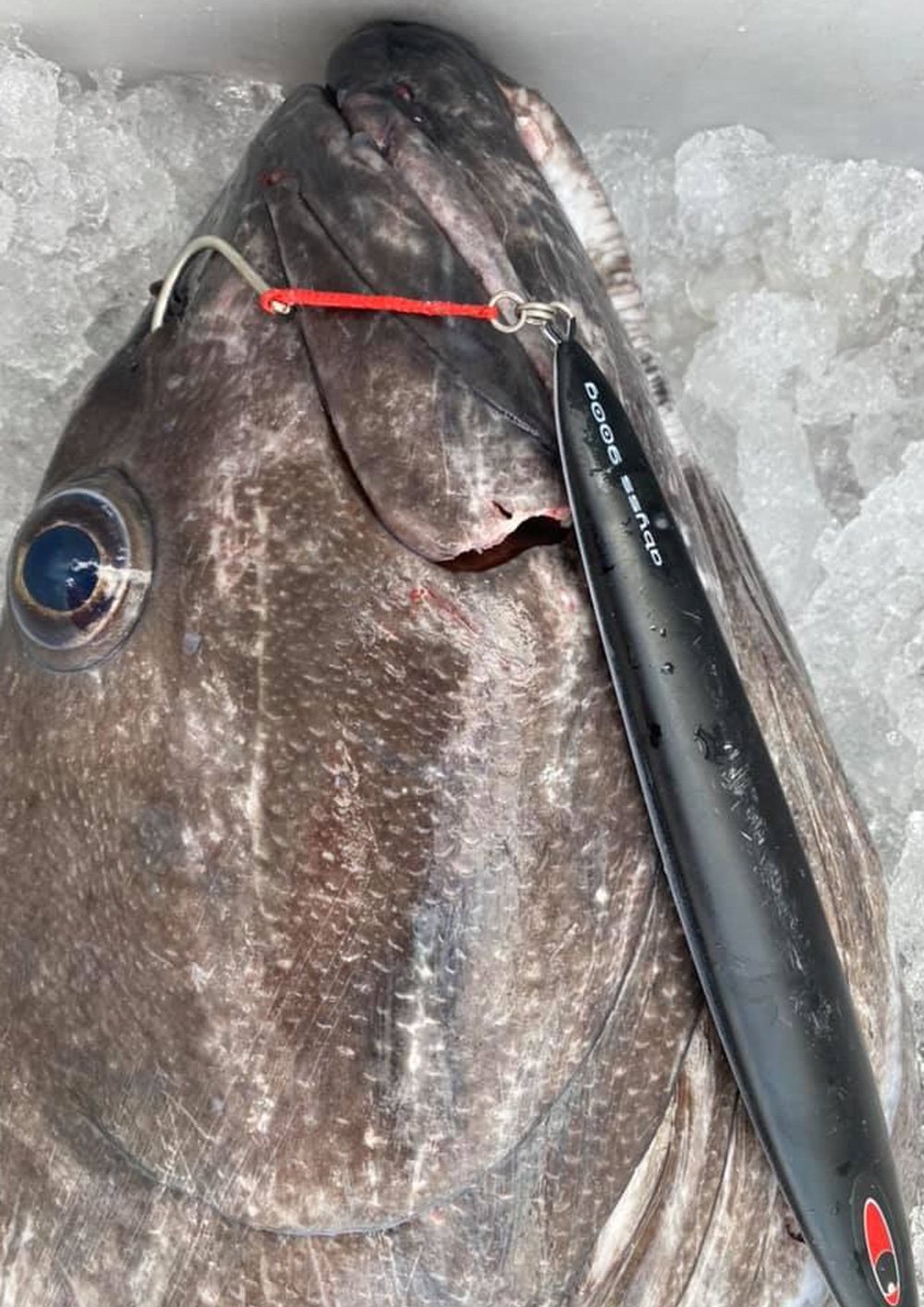 JAMフックヘヴィ受注開始