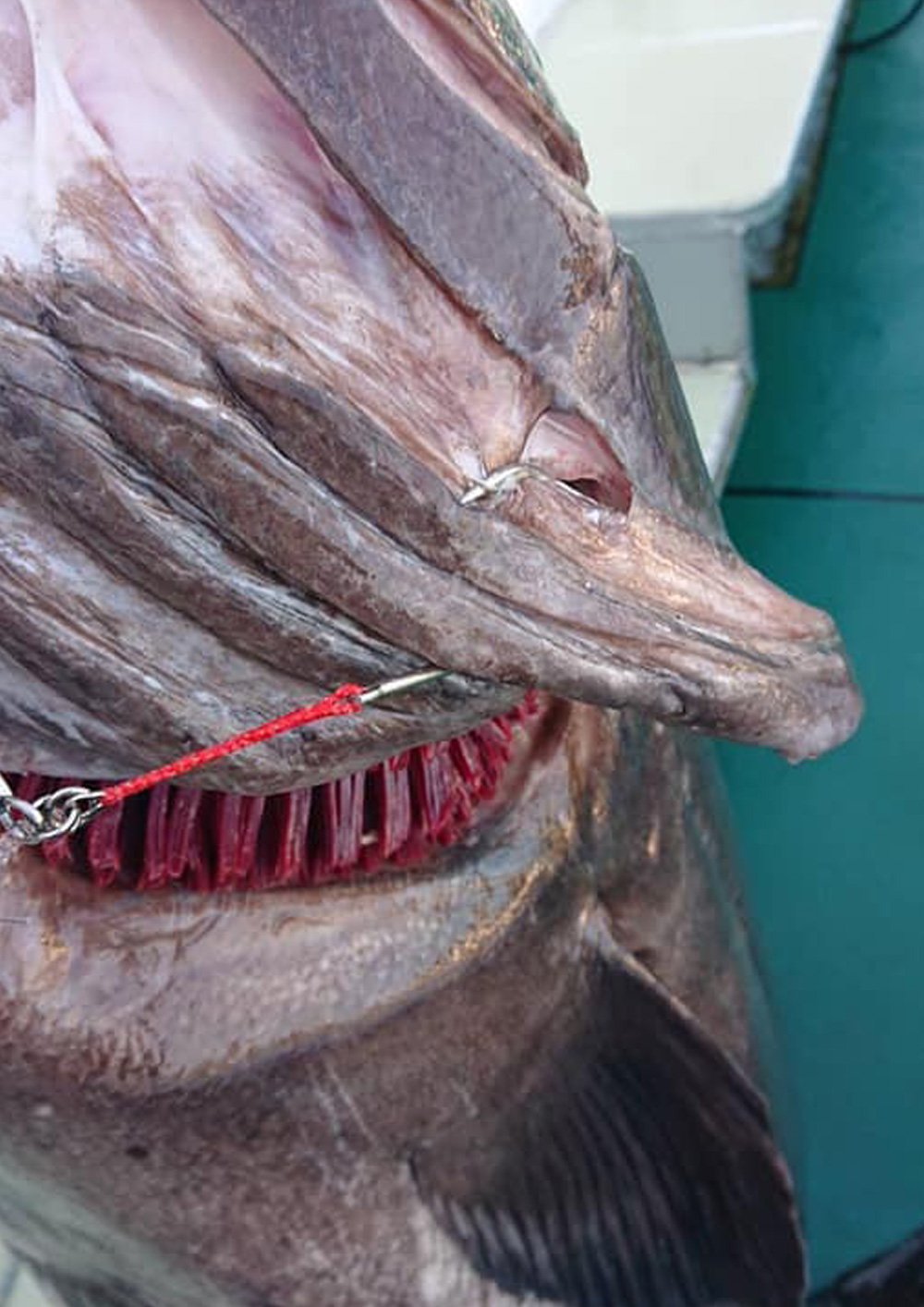 JAMフックヘヴィ受注開始