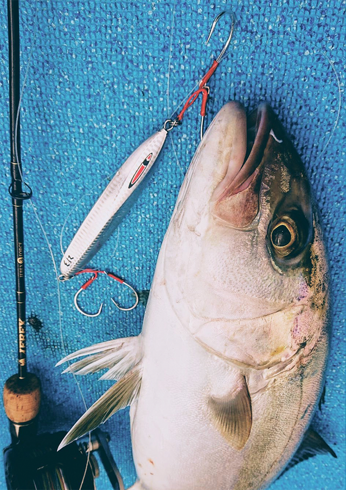 JAMアシストフックLS（ロングシャンク）釣果画像