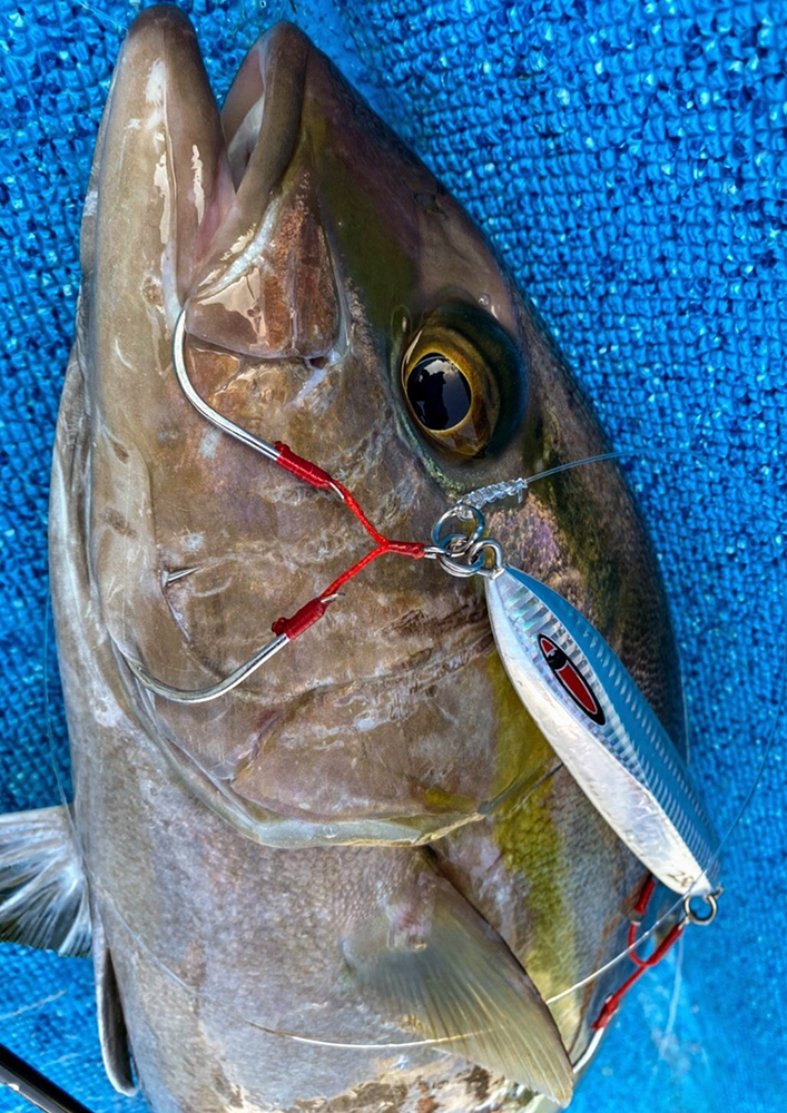 JAMフックLS（ロングシャンク）釣果画像