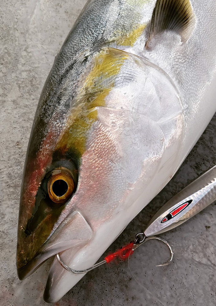 JAMフックLS（ロングシャンク）釣果画像