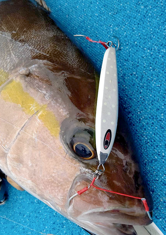 魚種を選ばない万能メタルジグ amu アム 受注開始