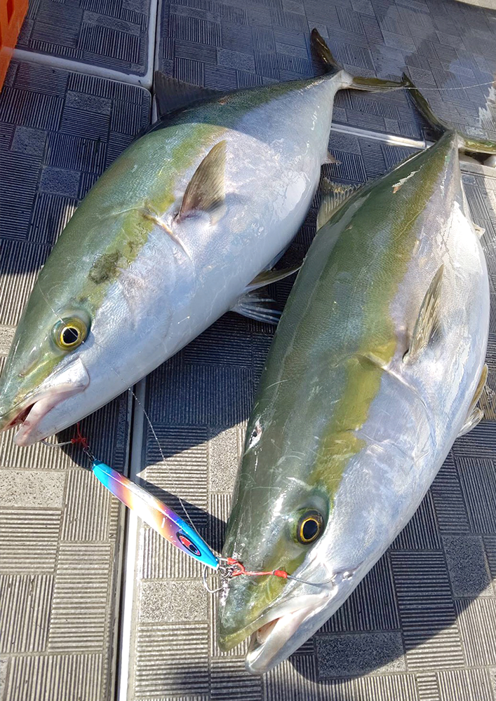 魚種を選ばない万能メタルジグ amu アム 受注開始