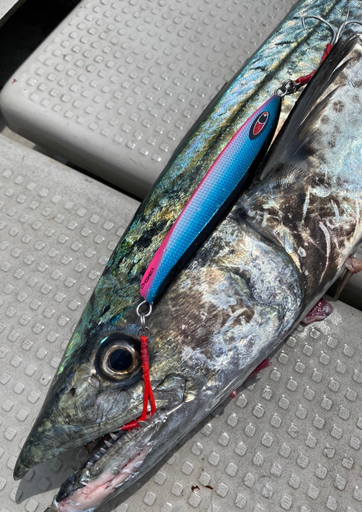 魚種を選ばない万能メタルジグ amu アム 受注開始