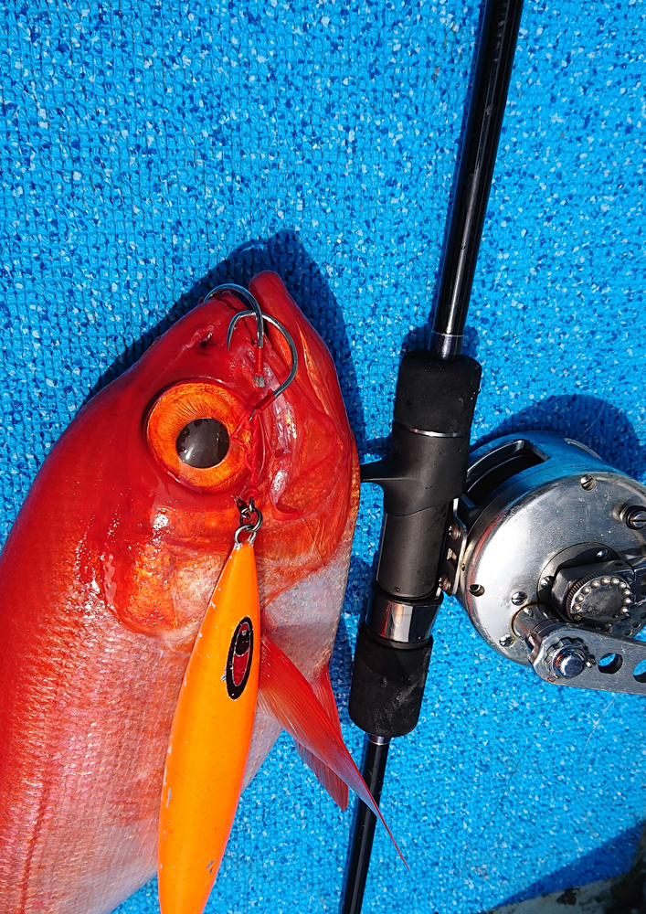 Jult ジャルト 釣果画像