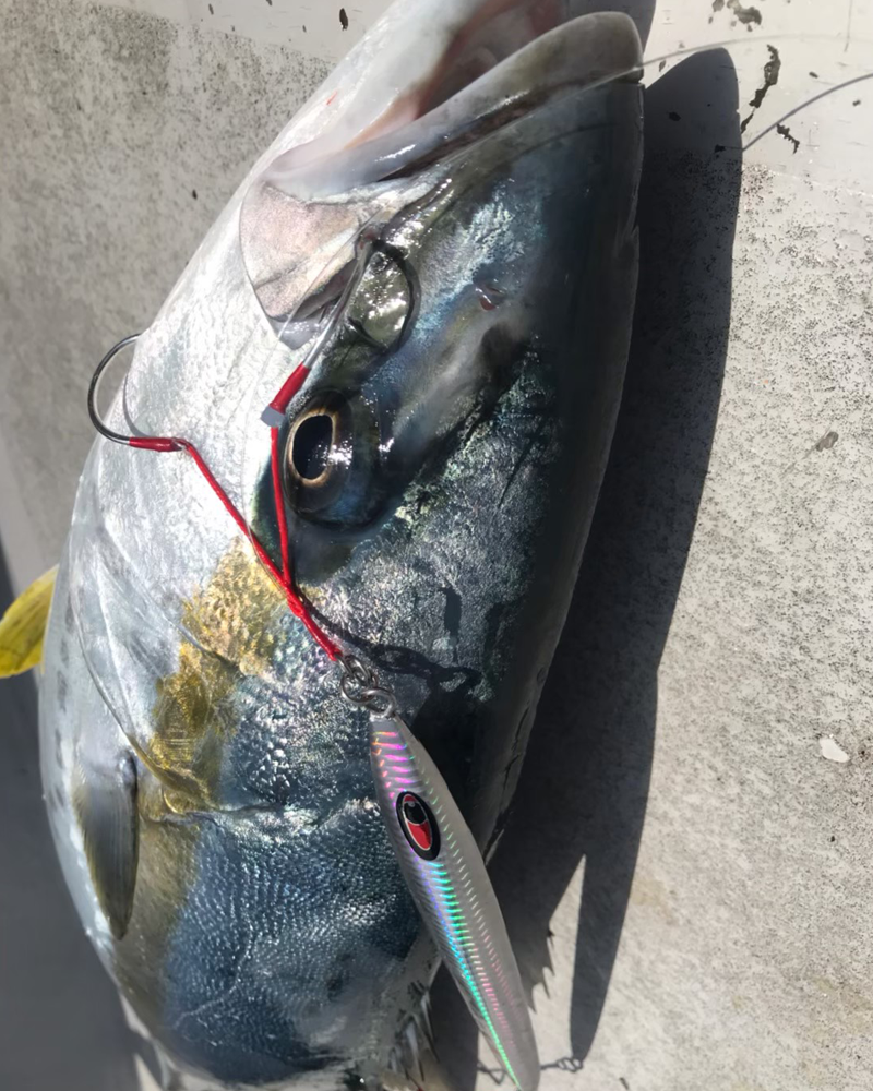 シーフロアコントロール創業10周年記念 JAMROD Blue Backed Model 受注開始