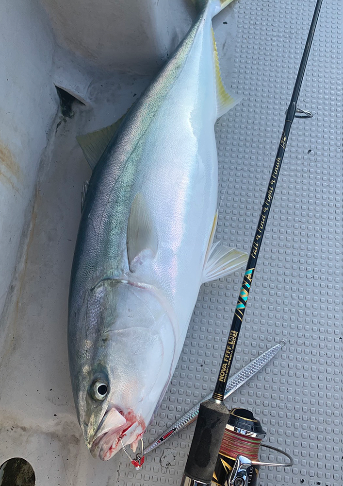 nova ffff mh ノヴァ フォーエフ エムエイチ ミディアムヘヴィ 受注開始