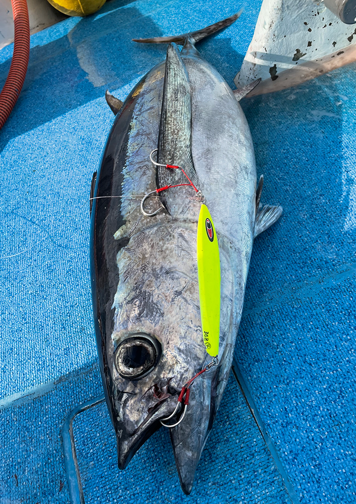 青物専用メタルジグ amu アム トンジギ攻略新ウェイト 受注開始