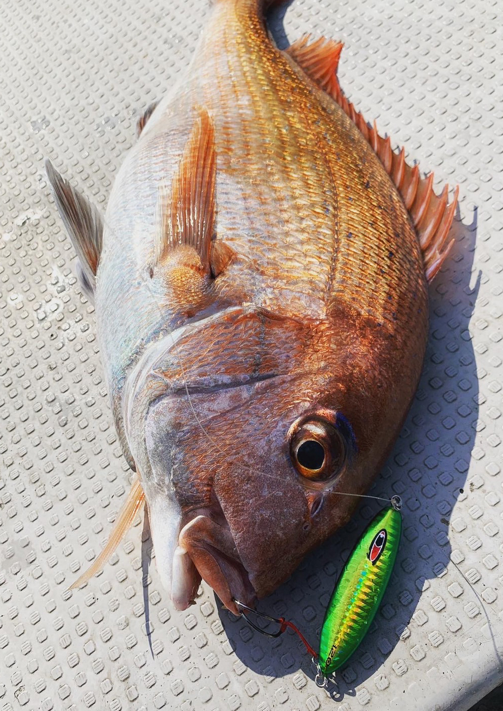 優れたレンジキープ力 真鯛狙いの SNAP スナップ 新色登場