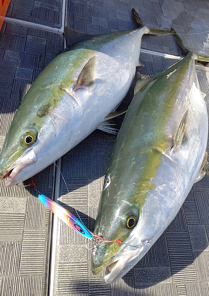 amu アム 新色登場