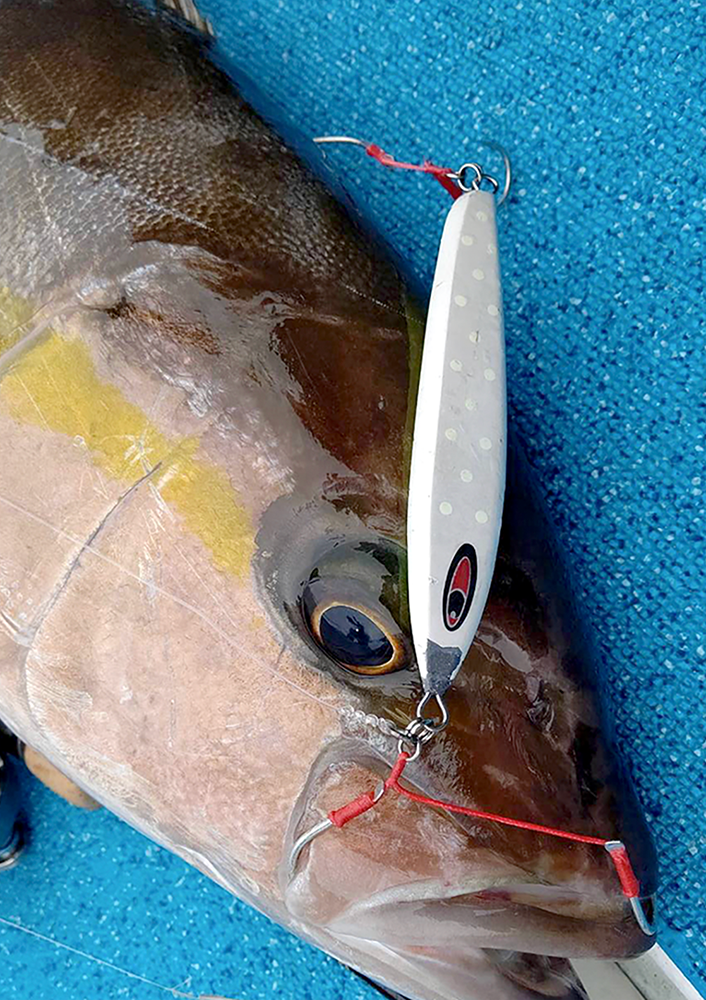 amu アム 新色登場