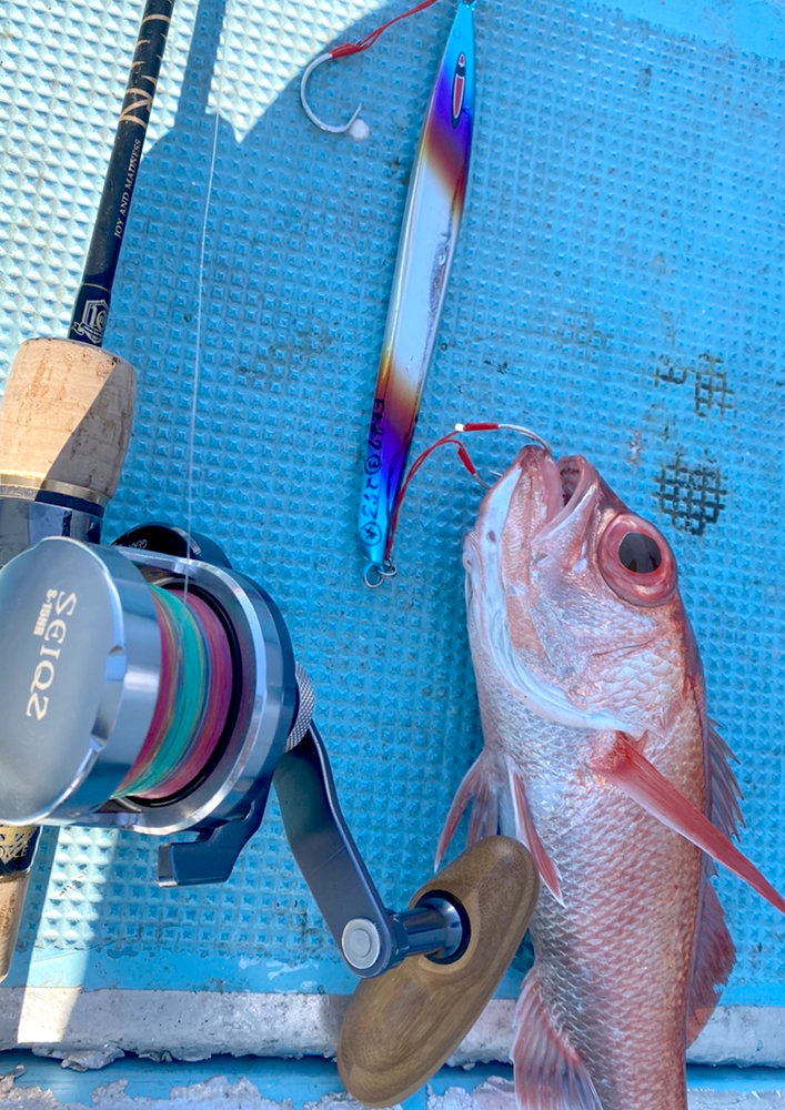 セミロングジグ ash アッシュ 釣果画像