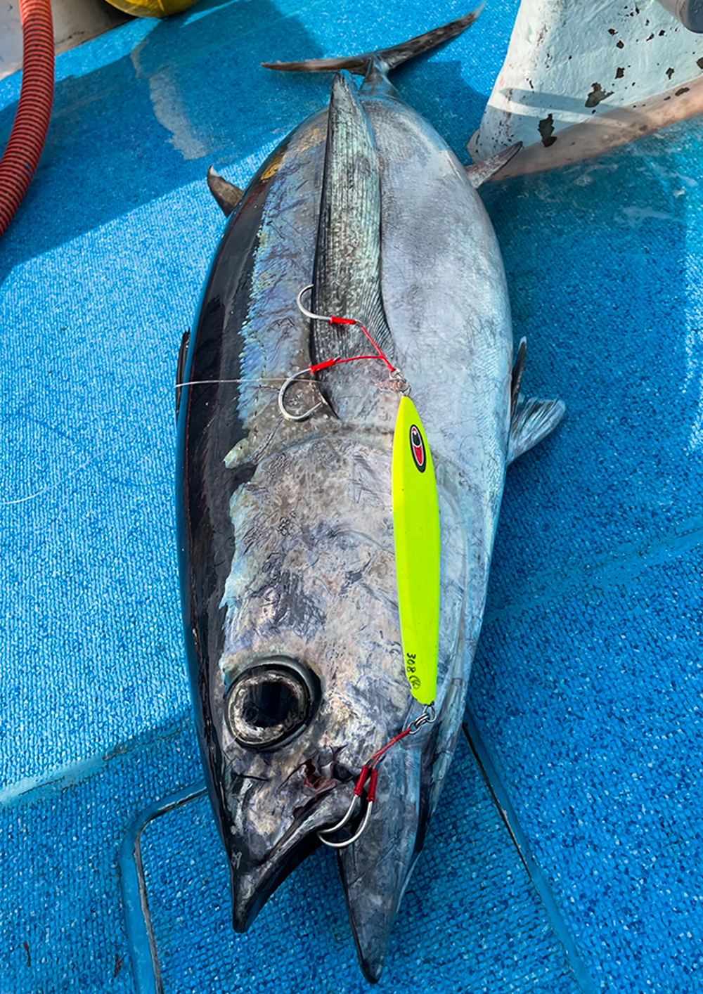 青物専用メタルジグ AMU 350g 新色 受注開始