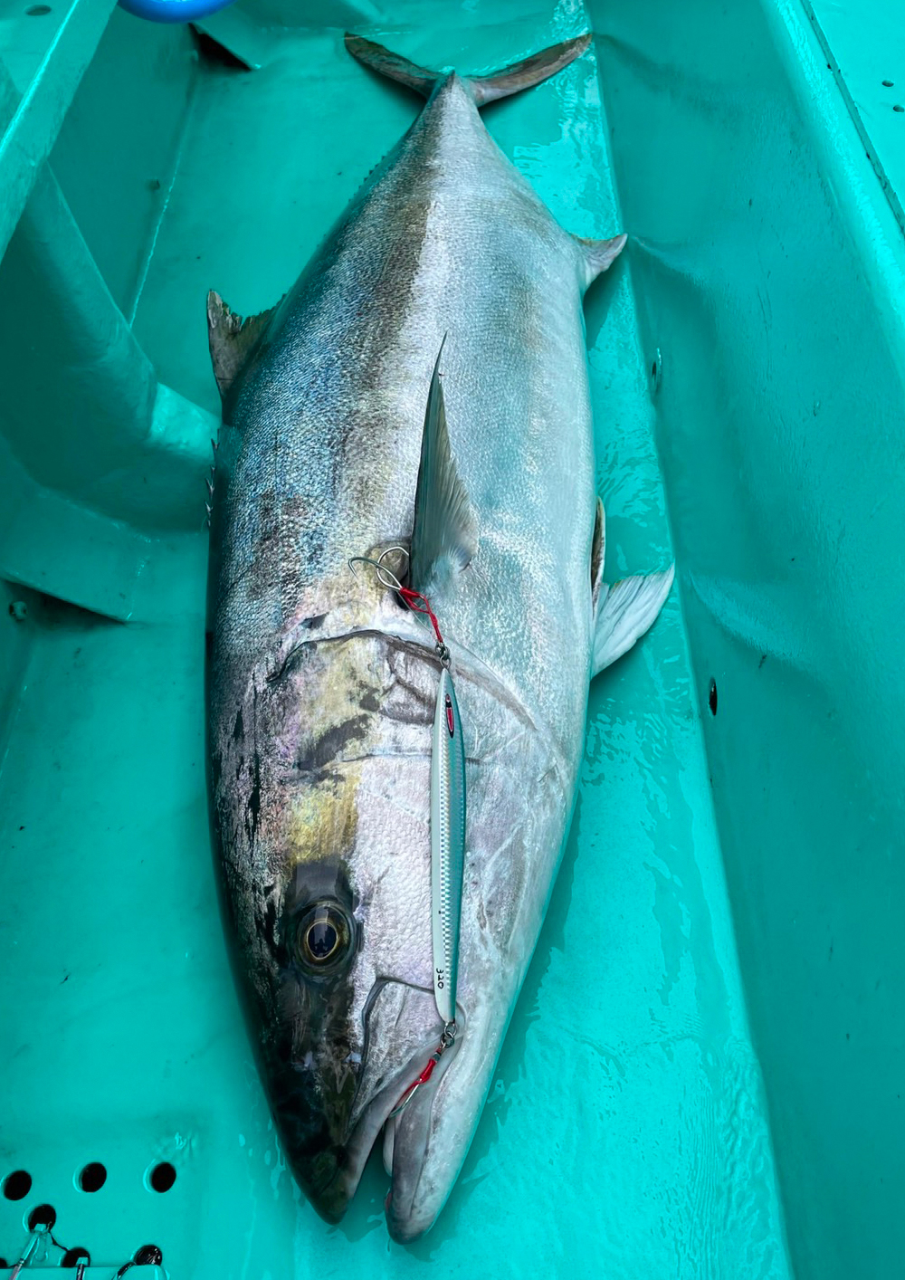 万能セミロングジグ 新ウェイト追加 ASH アッシュ 400g〜500g 受注開始